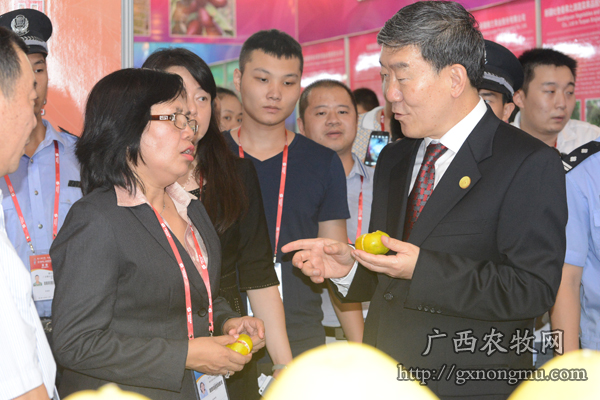 牛盾副部长在东盟国家展位了解名特优农产品有关情况